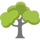 San Angelo Tree Removal