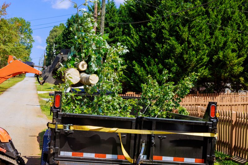 Top Rated Tree Removal Tools