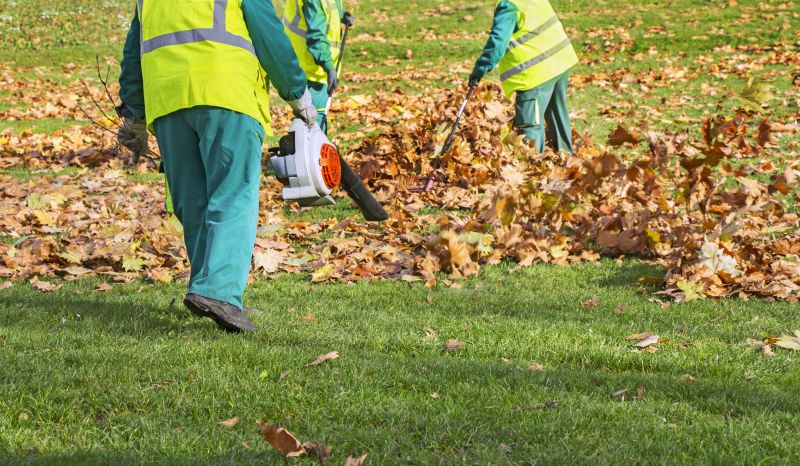 Leaf Collection Process