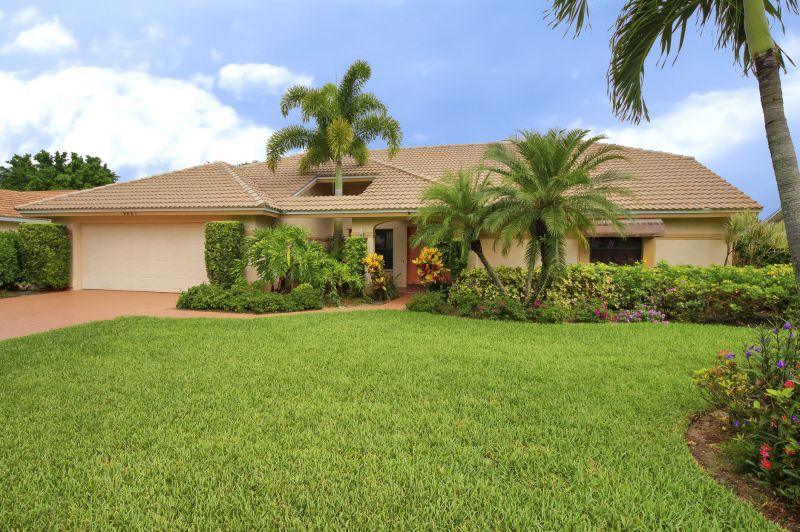 Palm Trees Removal