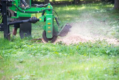 Tree Stump Grinding